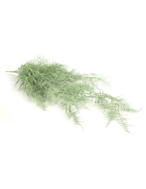 Monilophyta πράσινο παγωμένο Η105cm