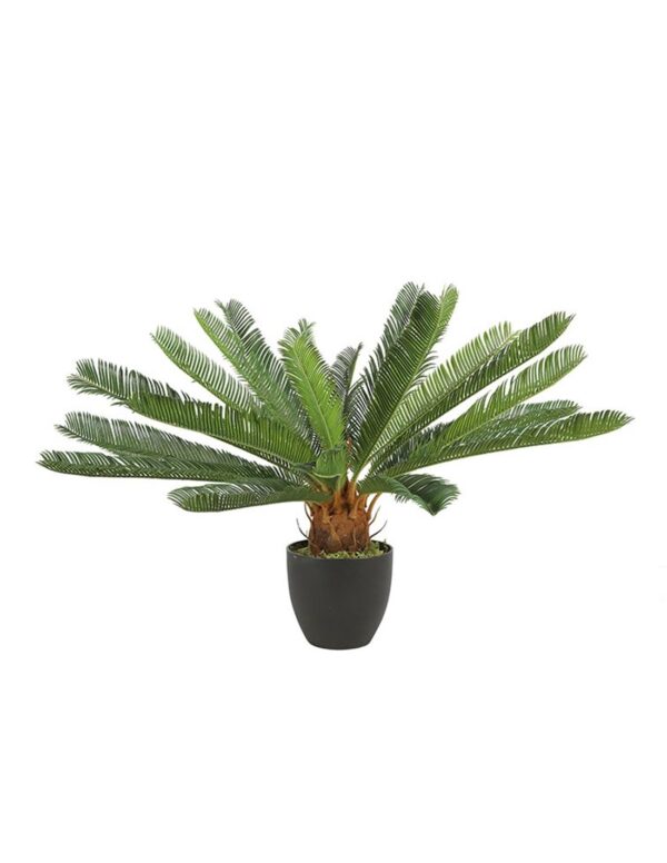Τσικας σε κασπώ Η72cm