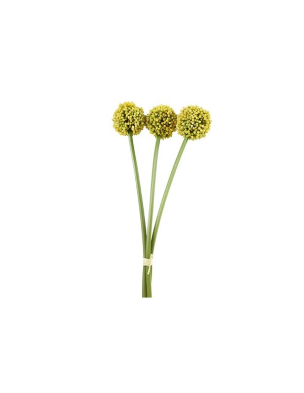 Allium κίτρινο Χ3  55εκ.