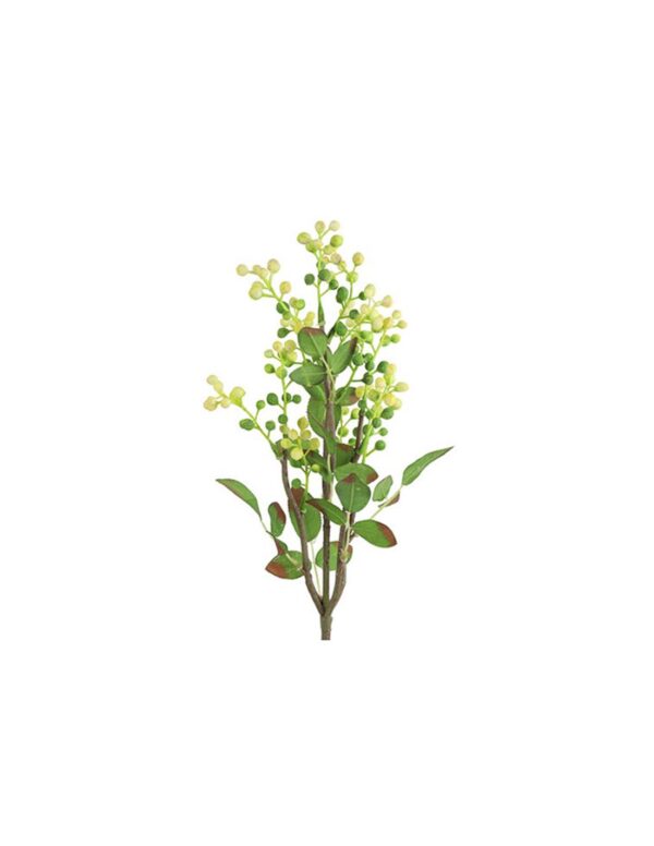 Prunus κλαδί κίτρινο