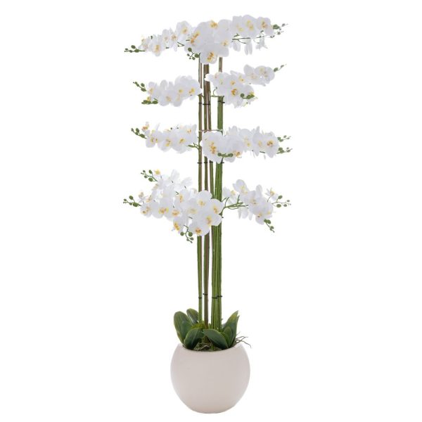 ΛΕΥΚΗ ΟΡΧΙΔΕΑ PHALAENOPSIS ΣΕ ΕΚΡΟΥ ΚΕΡΑΜΙΚΟ ΚΑΣΠΩ 160ΕΚ