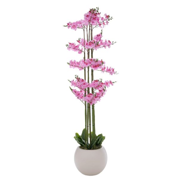 ΡΟΖ ΟΡΧΙΔΕΑ PHALAENOPSIS ΣΕ ΕΚΡΟΥ ΚΕΡΑΜΙΚΟ ΚΑΣΠΩ 190ΕΚ