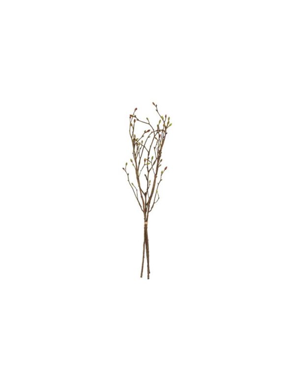 Κλαδί tilia 56εκ.