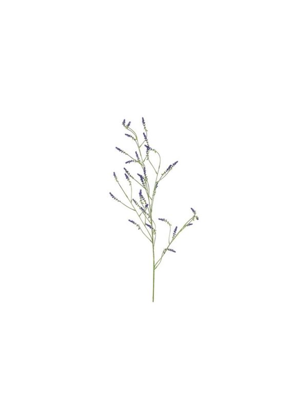 Melilotus κλαδί μωβ 115εκ.