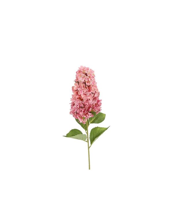 Ορτανσία Paniculata κλαδί φούξια 83εκ.