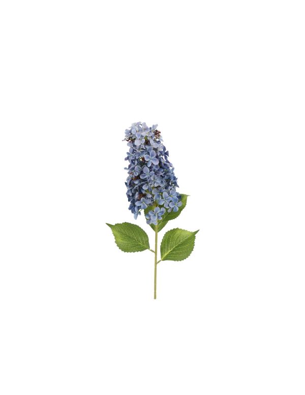 Ορτανσία Paniculata κλαδί μπλε 83εκ.