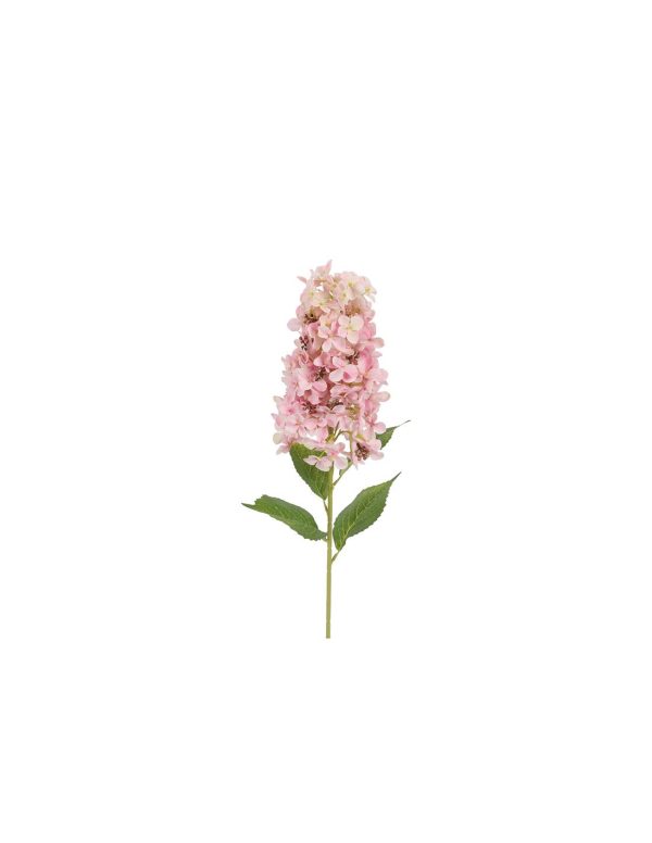 Ορτανσία Paniculata κλαδί ροζ 83εκ.