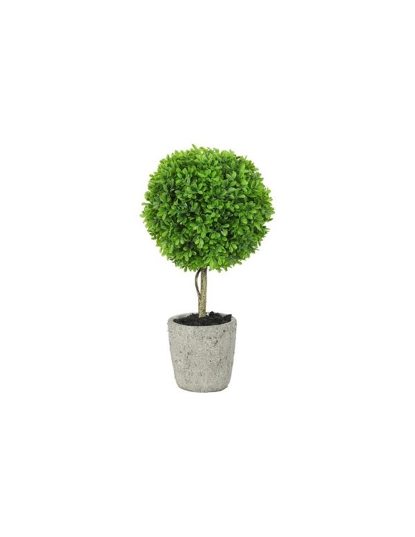 Πρασινάδα Buxus 40εκ.